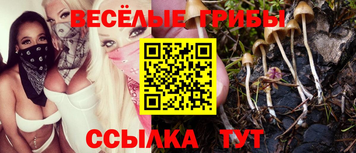Биробиджан  Псилоцибиновые грибы прущие грибы  Вход с VPN 