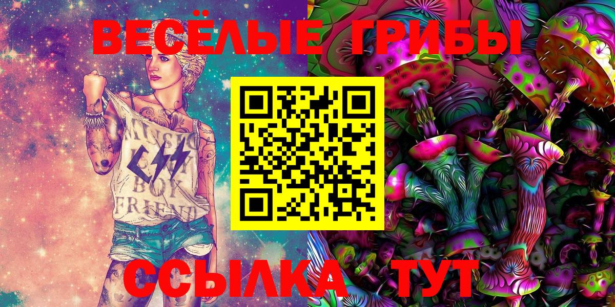 Галлюциногенные грибы Psilocybine cubensis Биробиджан